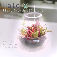 Load image into Gallery viewer, Led  Light Angel With Three Rings Full Spectrum Lamp Dc 5v Usb For Indoor Planting Seedlings Flowers 1 head pink light
