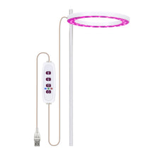 Load image into Gallery viewer, Led  Light Angel With Three Rings Full Spectrum Lamp Dc 5v Usb For Indoor Planting Seedlings Flowers 1 head pink light
