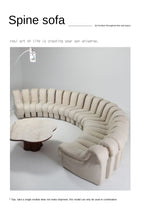 Last inn bildet i Galleri-visningsprogrammet, DS-600 Spine Piano Sofa/Designer Free Combination Sofa
