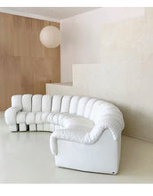 Lade das Bild in den Galerie-Viewer, DS-600 Spine Piano Sofa/Designer Free Combination Sofa
