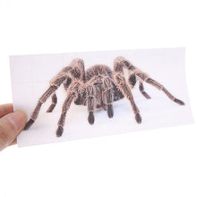 Lade das Bild in den Galerie-Viewer, Unique 3D Animal Cartoon Design PVC Decals Car Funny Stickers Body Styling Decoration Sticker Black spider
